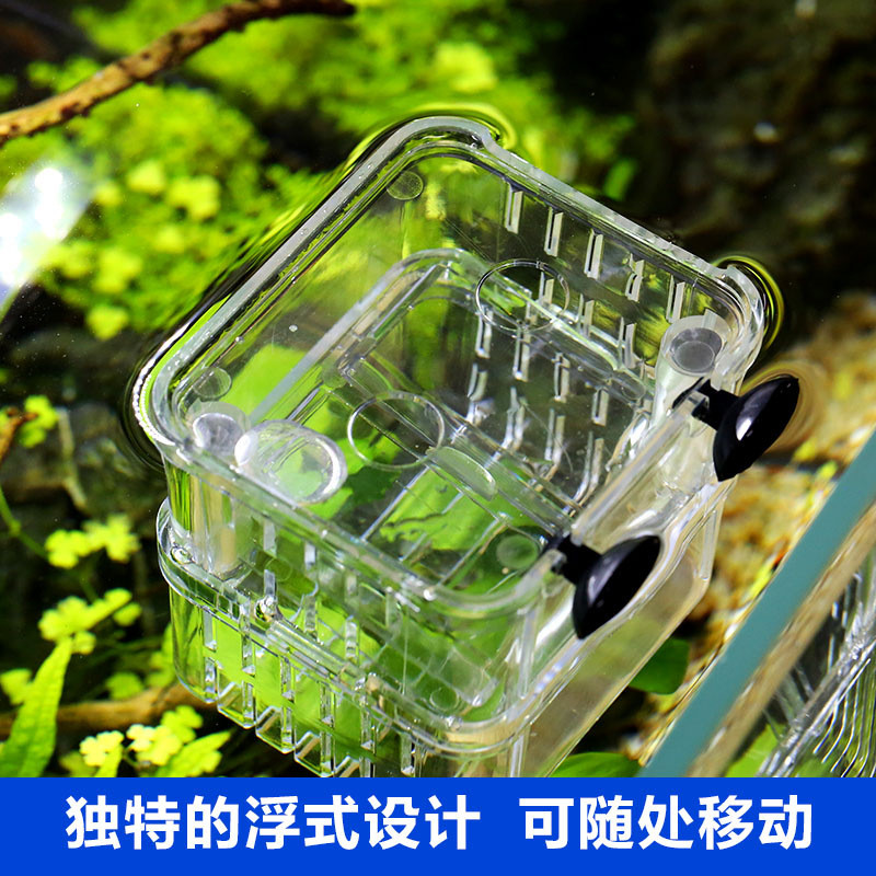 森森孔雀鱼繁殖盒幼鱼鱼缸隔离斗鱼鱼苗产卵器热带鱼亚克力孵化盒图片