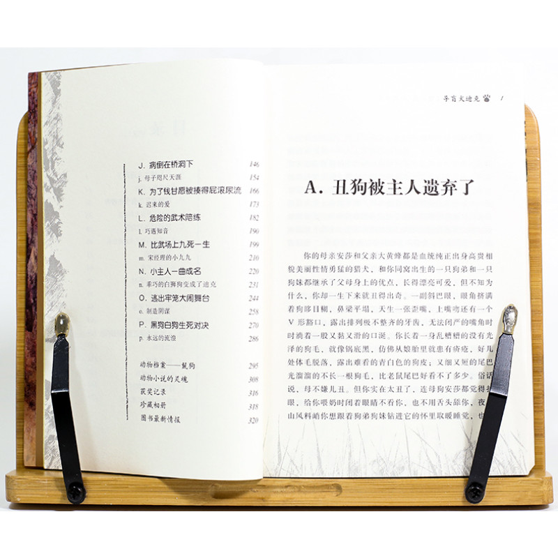 动物小说大王沈石溪导盲犬迪克少儿文学中小学生课外阅读