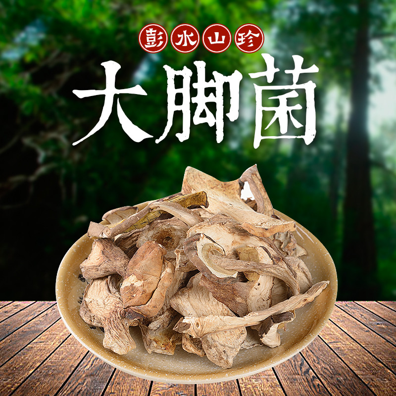 九黎源苗妹香香大脚菌 重庆彭水特产山珍干货 纯野生美味食用菌养生菌