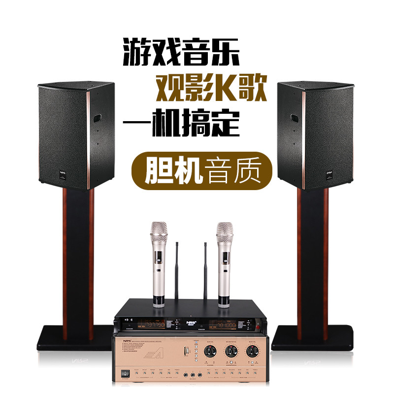 nrs出口型号lt-16卡拉ok音响6寸套装家用k歌家庭ktv专业音响套装组合