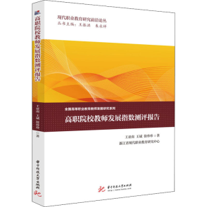 正版新书]高职院校教师发展指数测评报告王亚南,王斌,徐珍珍9787