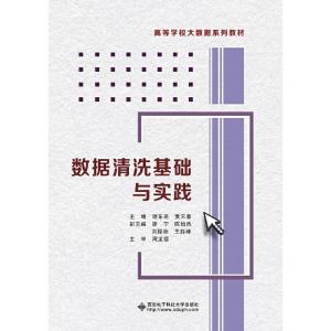 正版新书]数据清洗基础与实践谢东亮,黄天春主编9787560654607