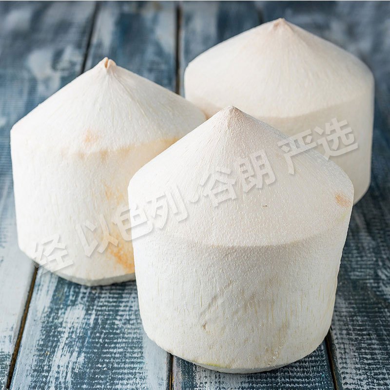 喜朗泰国大号椰青4个进口新鲜水果椰子椰子汁经以色列谷朗严选