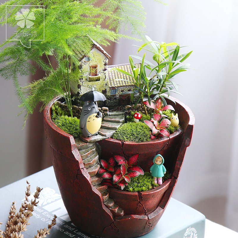 微景观植物迷你小盆栽苔藓盆景生态瓶创意盆栽办公桌摆件diy盆栽
