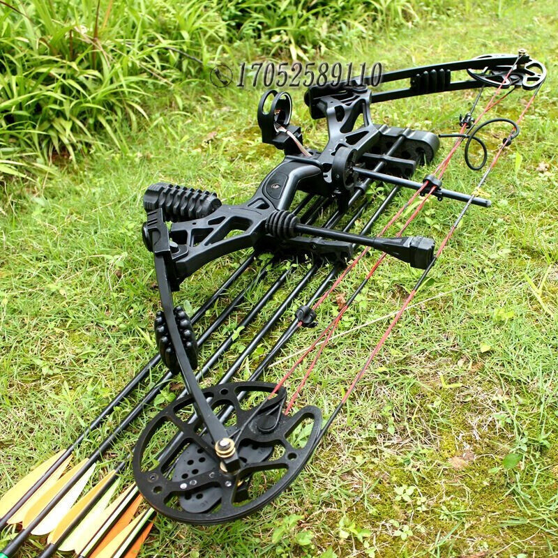 弓箭复合滑轮弓弓箭套装射箭比赛运动射击射鱼弓狩猎娱乐
