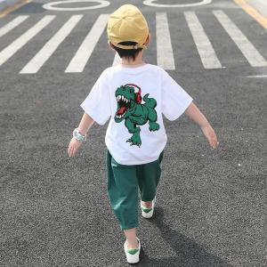 2021短袖儿童新款男童夏季韩版百搭套装宝宝儿童休闲运动两件套款T恤洋气休闲韩版