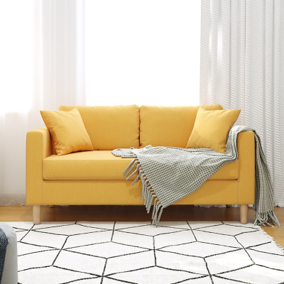符象北欧沙发小户型客厅服装店铺公寓租房卧室双人网红小沙发简易现代