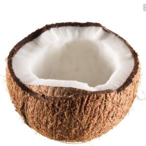 赛卡伊 海南老椰子2斤以上大果沙滩热带水果海南椰子椰青批发