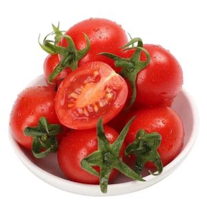 赛卡伊 农家小番茄小西红柿新鲜蔬菜酸甜水果非圣女果千禧