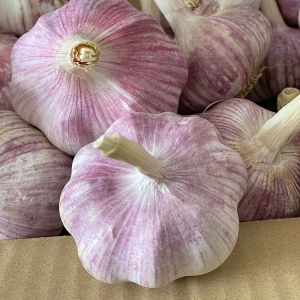 今年干大蒜5斤大蒜头干蒜农家紫白皮新鲜1/2/3/斤批发价