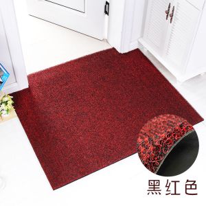 丝圈地垫家地毯垫塑料防水防滑垫子可裁剪脚垫