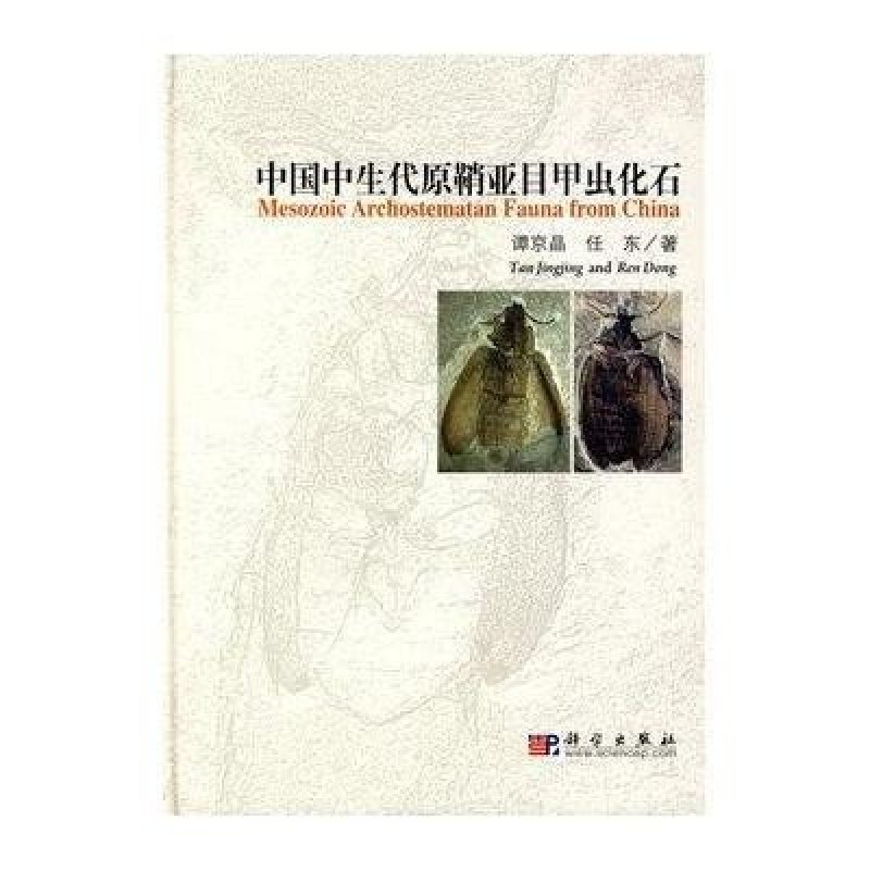 中国中生代原鞘亚目甲虫化石
