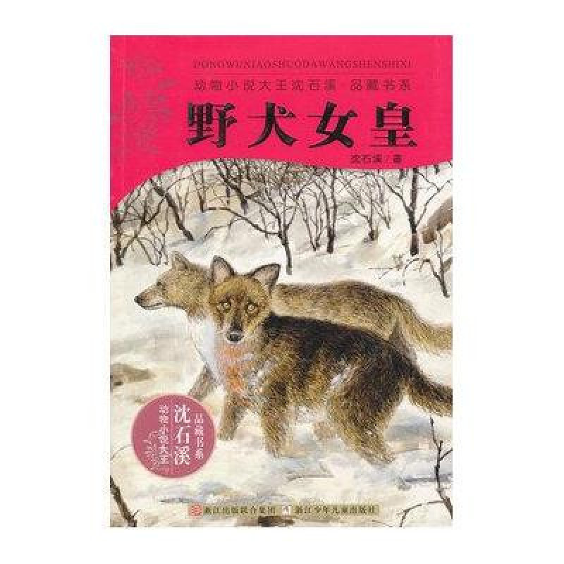 动物小说大王沈石溪品藏书系：野犬女皇