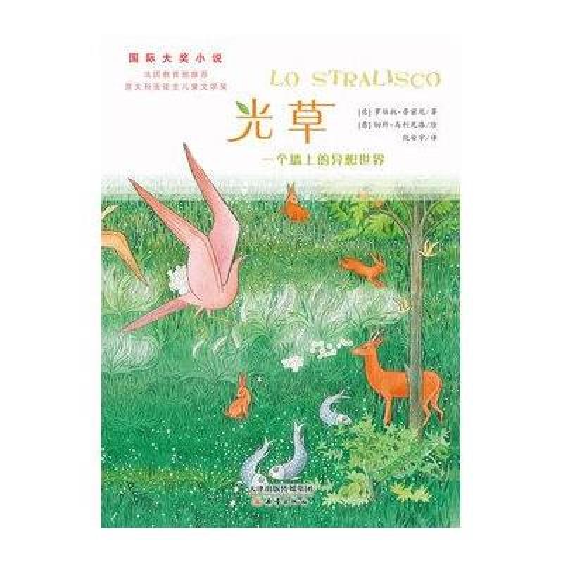 光草:一个墙上的异想世界