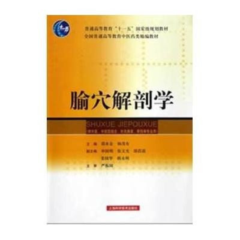腧穴解剖学