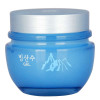 THE FACE SHOP 菲诗小铺美肌植物冰山水啫喱 100g