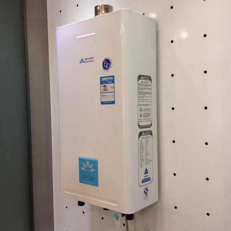 港华紫荆 bnw-9110fe-1 燃气热水器 10l/min高清实拍图