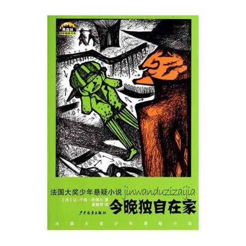今晚独自在家/黑森林国际畅销书系.法国大奖少年悬疑小说