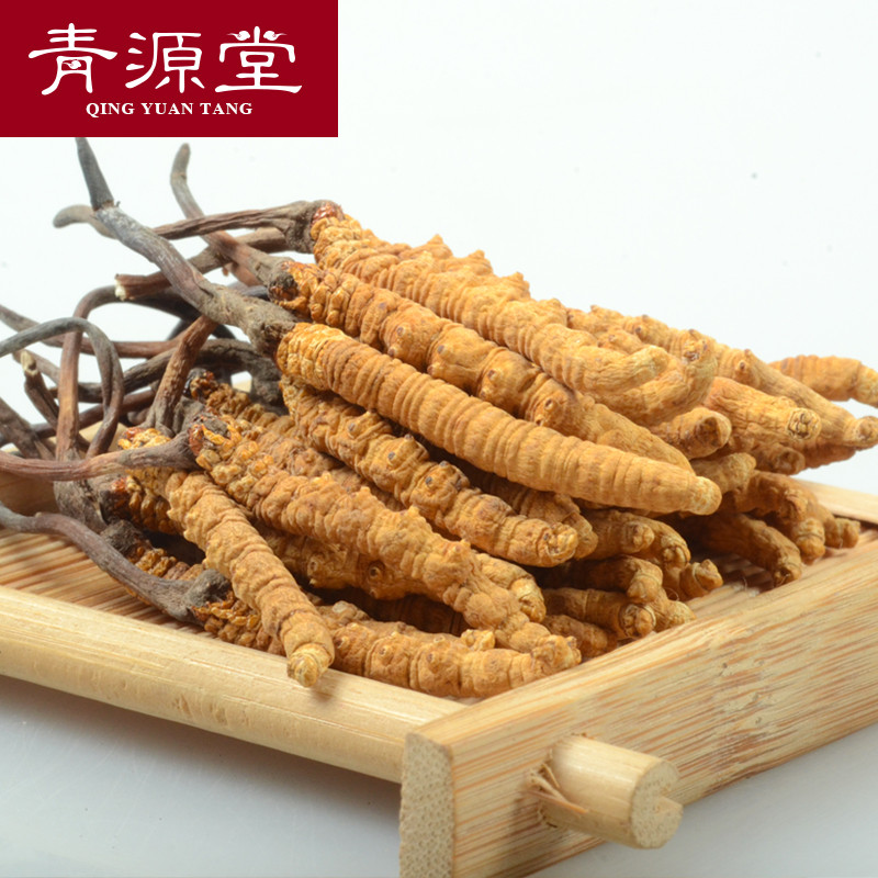 青源堂 冬虫夏草 精选3条/g 50g礼盒
