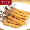 青源堂 冬虫夏草 精选4条/g 250克礼盒