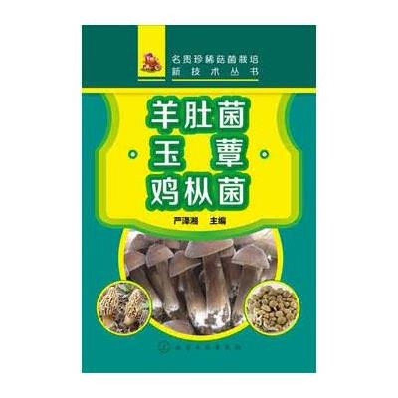 羊肚菌 玉蕈 鸡枞菌