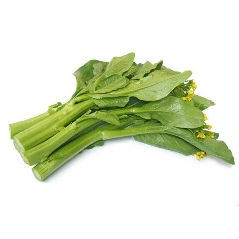 精品油菜花