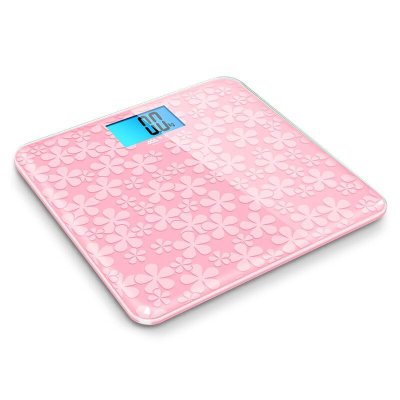 香山(camry) gs913 干电池 玻璃 电子体重秤