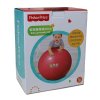 Fisher Price 费雪 65cm 瑜伽健身球 瘦身美体马甲线锻炼 婴幼儿感统训练球——红色