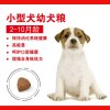 ROYAL CANIN 皇家狗粮 MIJ31 小型犬幼犬粮 2kg