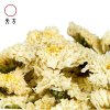 【中华特色】池州馆 天方黄山贡菊 25g/罐