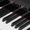 全新德国普鲁特娜PrutenerUP-132立式钢琴 家用豪华演奏用琴 黑色 全国联保 黑色