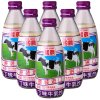 国农 布丁味牛乳饮品 240ml*6 中国台湾地区进口上等配料取才考究，严选牛乳，香醇的牛奶与布丁绝妙的搭配