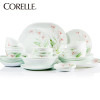 康宁(CORELLE)餐具套装美国原装进口玻璃餐具36件套都市百合 36-LV-CS
