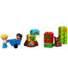 LEGO 乐高 Duplo 得宝系列 我的第一个小花园 10819
