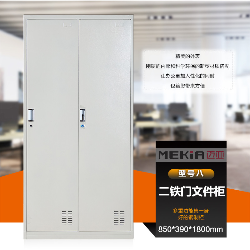 凭证柜财务凭证柜铁皮柜 办公文件柜铁皮带锁 通铁门资料柜员工柜 迈亚家具 0.6mm加厚款.