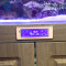 AODESI 奥德斯欧式海水鱼缸 珊瑚鱼缸0.6米0.8米1米1.2米1.5米1.8米水族箱 定制鱼缸生态缸 均码 1.5米珊瑚海缸（缸+柜+过滤箱）