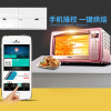 Galanz/格兰仕电烤箱电烤箱iK2R（TM） WiFi智控带炉灯