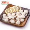 【苏鲜生】冰冻带子（鲜贝）220g