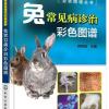 畜禽常见病诊治彩色图谱丛书--兔常见病诊治彩色图谱