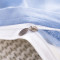 南极人(NanJiren)家纺 ins简约四件套单双人床单臻丝棉缎轻奢风被套1.8米网红款2.0m床上用品 韵味-兰 适用1.5/1.8m床-被套200×230cm