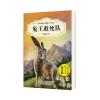 中外动物小说精品(升级版)：兔王敢死队