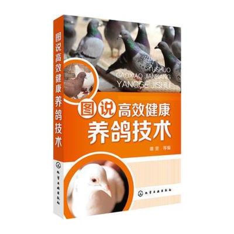 图说高效健康养鸽技术