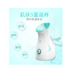 美克斯（MKS）蒸脸器 NV8358 冷热喷补水保湿仪 蒸汽议美容器 电子美容仪 喷雾机 紫色