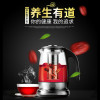 拓璞创造(TOPCREATING)养生壶 DK395