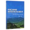 环境工程中的纳米零价铁水处理技术