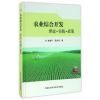 农业综合开发 理论？实践?政策