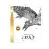 沈石溪动物小说经典爱藏版·五彩龙鸟
