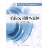 跨国公司财务案例