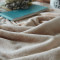 丹杰 秋冬毛毯加厚双层保暖不掉毛单人双人毯毛毯加大 法兰绒毛毯 毯子珊瑚绒空调毯纯色素色简约风 蓝色 2.0*2.3