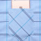 夏季中年男士短袖格子衬衫大码上衣爸爸装中老年男装衬衣40-50岁 175/XL DX186蓝色
